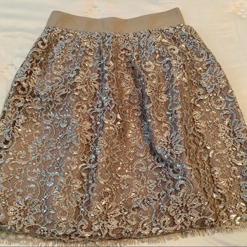 J. Crew Metallic Lace Overlay Skirt (Size 2)
